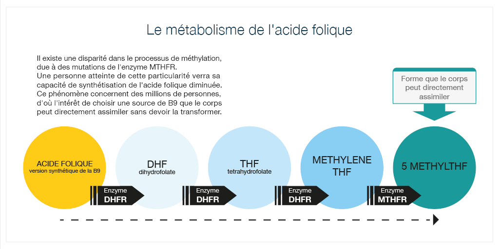 lait infantile bio comparatif bebe le metabolisme de l'acide folique